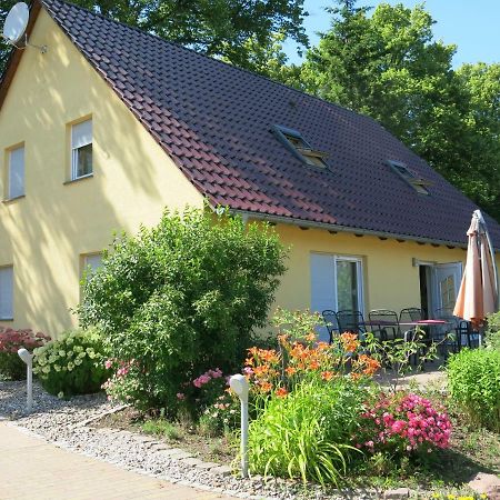 Schoelzke'S Ferienhaus ラルスヴィーク エクステリア 写真